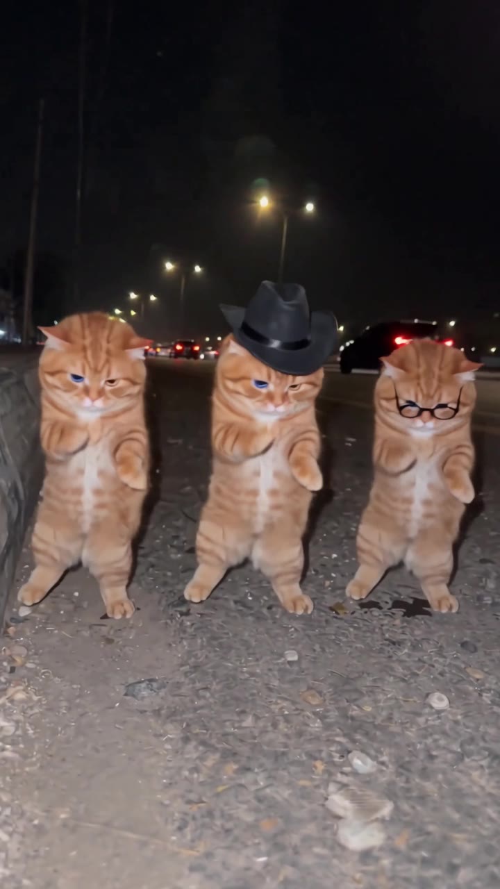 La Calabaza Dance AI: Paw movements and turns follow separate tracks